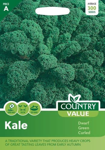 Kale    Dwarf Green Curled
