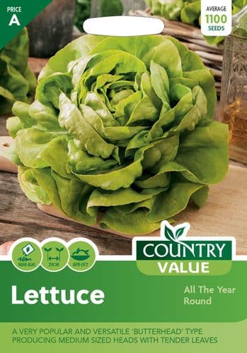 Lettuce All The Year Round