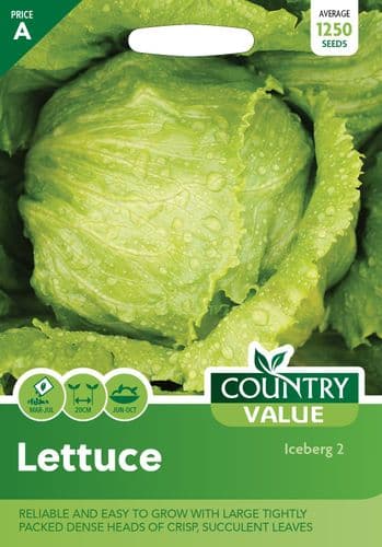 Lettuce    Iceberg  2