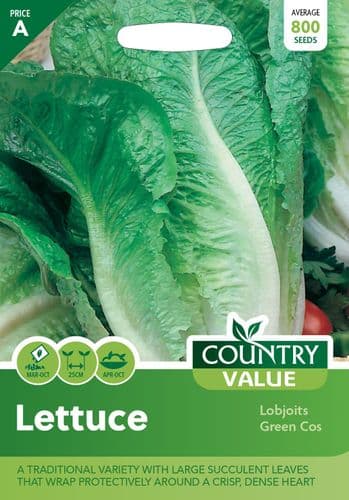 Lettuce    Lobjoits  Green  Cos