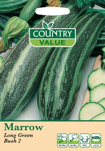 Marrow Long Green Bush 2