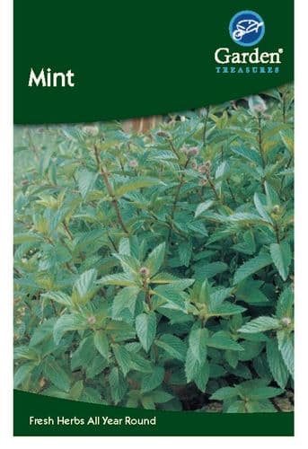 Mint by Garden Treasures