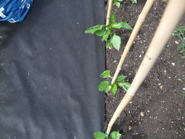 Mulch Material Weed Fabric Choose Your Length