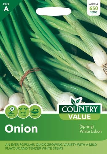 Onion ( Spring ) White Lisbon
