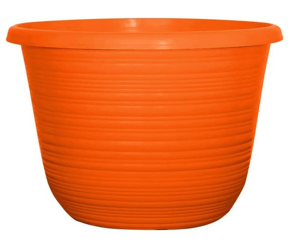 Orange Bellagio Round 10