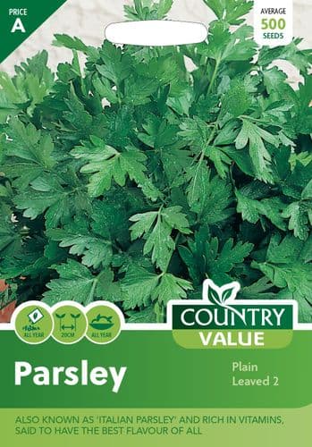 Parsley   Plain Leaved  2