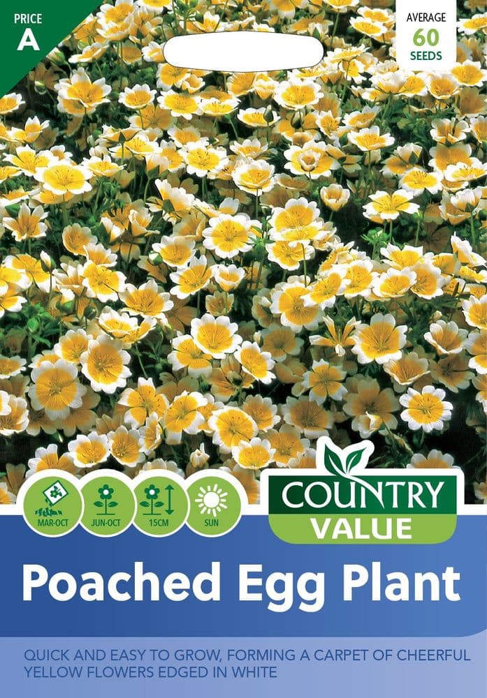 Poached Egg Plant