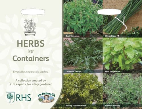 RHS 6 Variety Herb Pack ( Herbs for Containers )