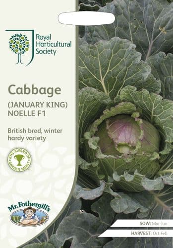 RHS   Cabbage  (January King)  NoellF1