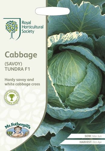 RHS   Cabbage  (Savoy)  Tundra  F1
