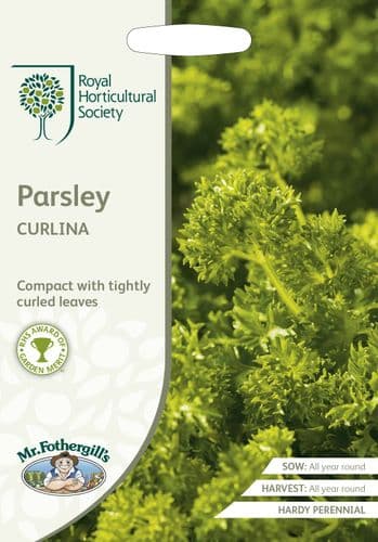 RHS   Parsley  Curlina