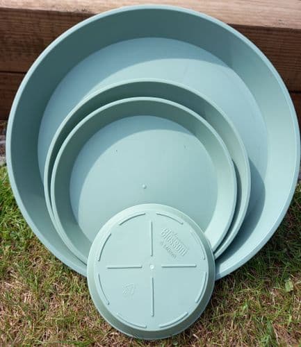 Saucers for Green Olive Planters
