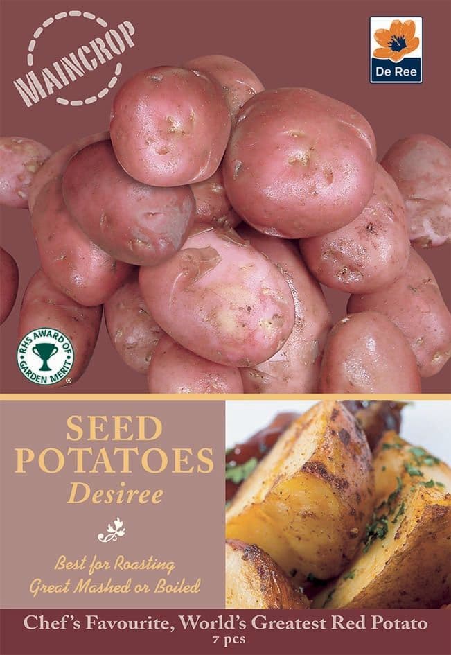 Seed Potatoes  Desiree