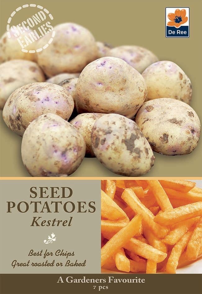 Seed Potatoes  Kestrel