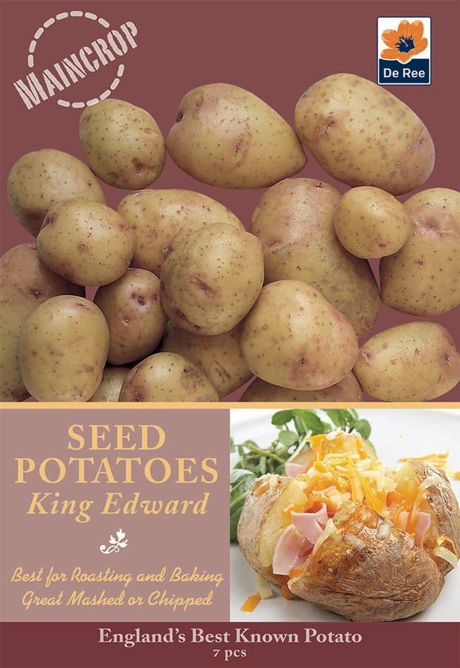 Seed Potatoes  King  Edward