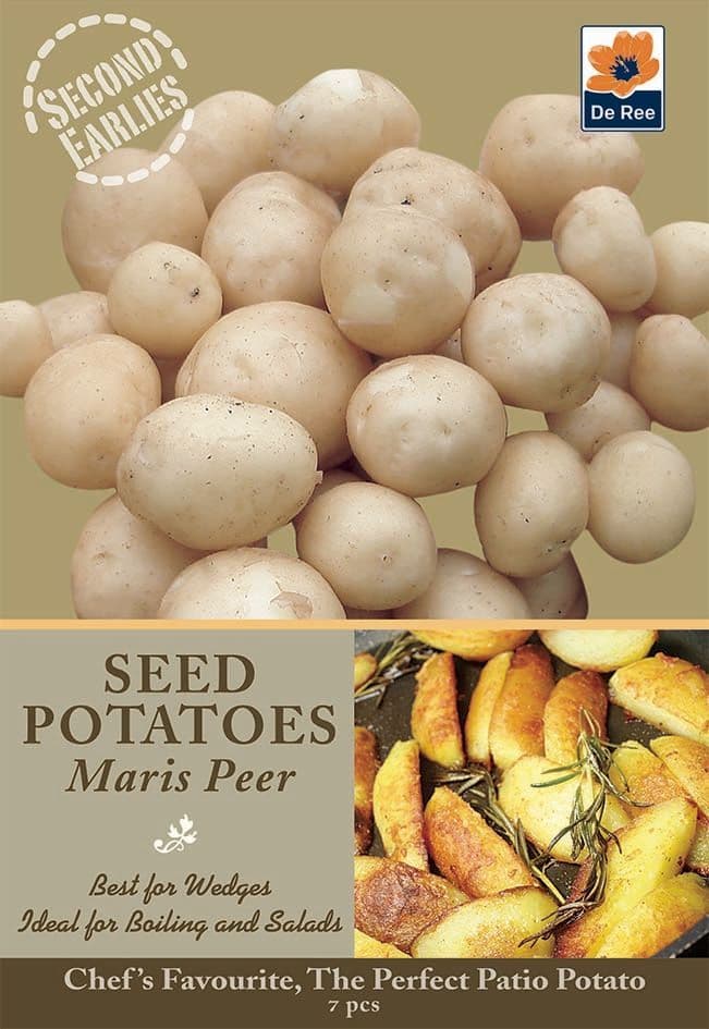 Seed Potatoes  Maris Peer