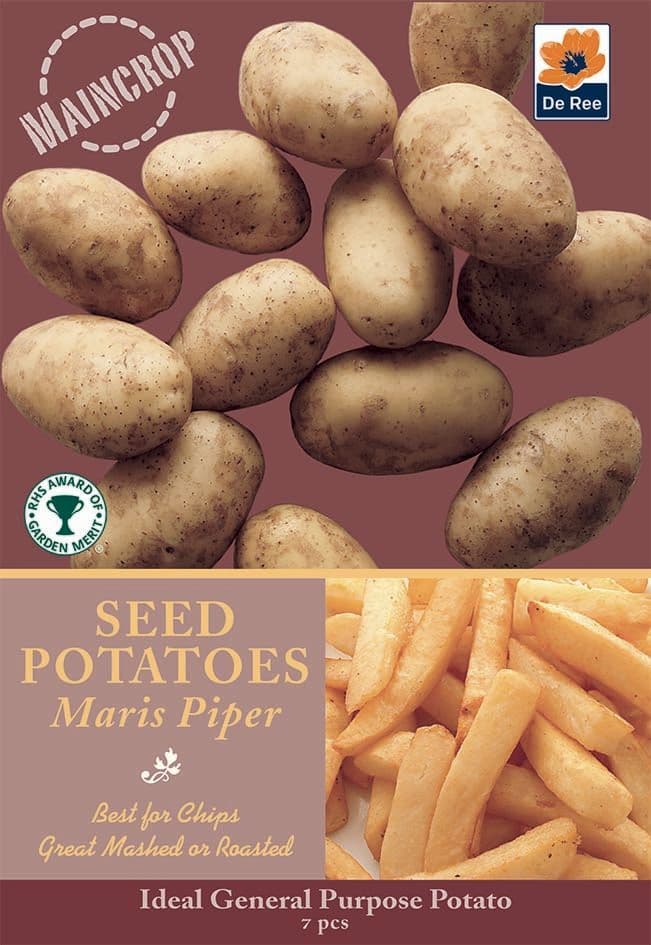 Seed Potatoes  Maris Piper