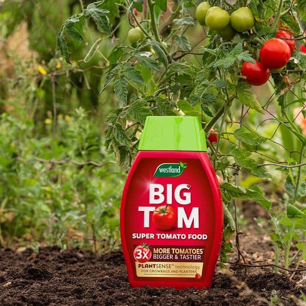 Westland Big Tom Feed 1 litre Bottle with Easy Squeeze Measure