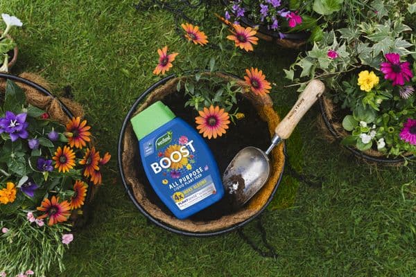Westland Boost All Purpose Plant Food