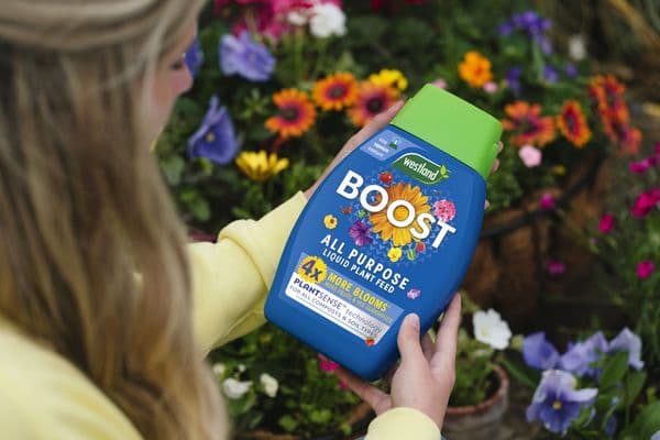 Westland Boost All Purpose Plant Food