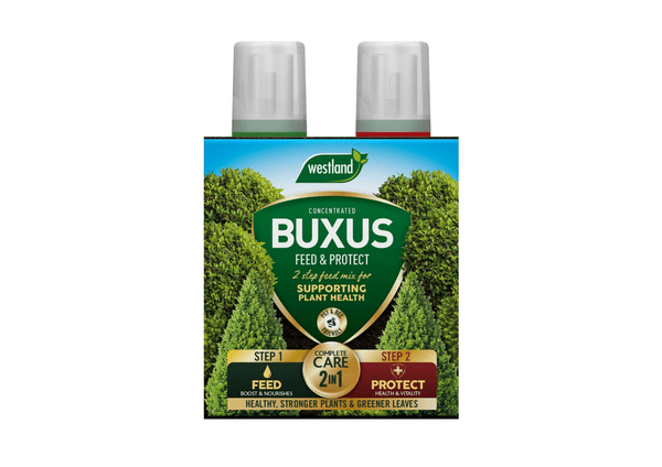 Westland Buxus Feed & Protect 2 in 1