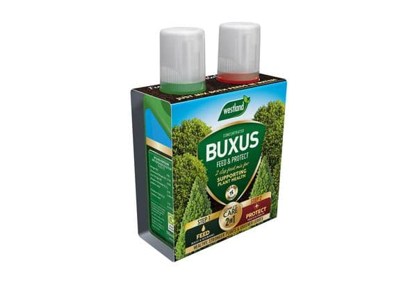 Westland Buxus Feed & Protect 2 in 1