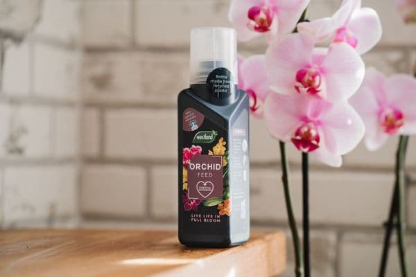 Westland Concentrated Orchid Feed 200ml