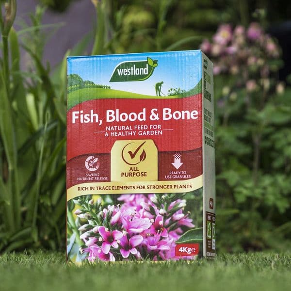 Westland Fish Blood and Bone 1.5kg or 4kg