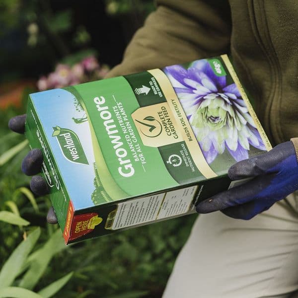 Westland Growmore Plant Food