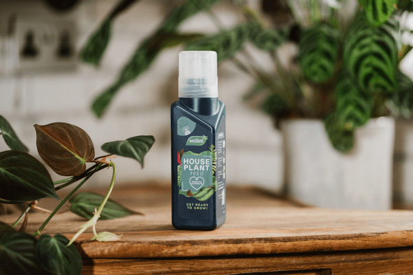 Westland house Plant Feed 200ml