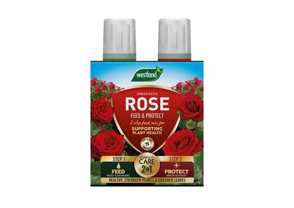 Westland Rose  Feed & Protect 2 in 1