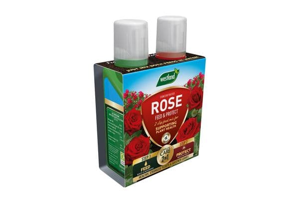 Westland Rose  Feed & Protect 2 in 1