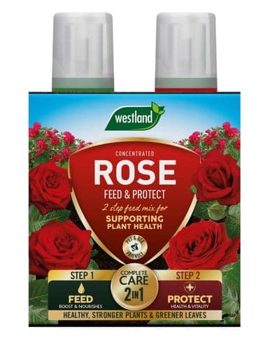 Westland Rose  Feed & Protect 2 in 1