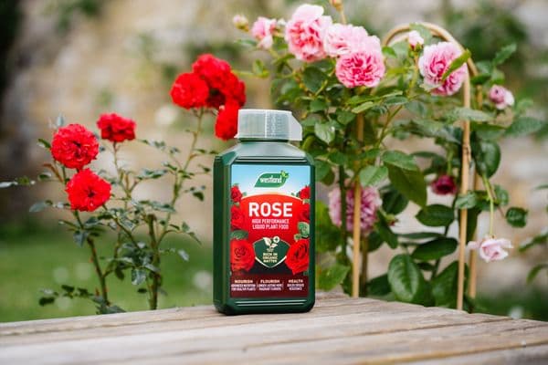 Westland Rose High Performance Liquid Plant Food