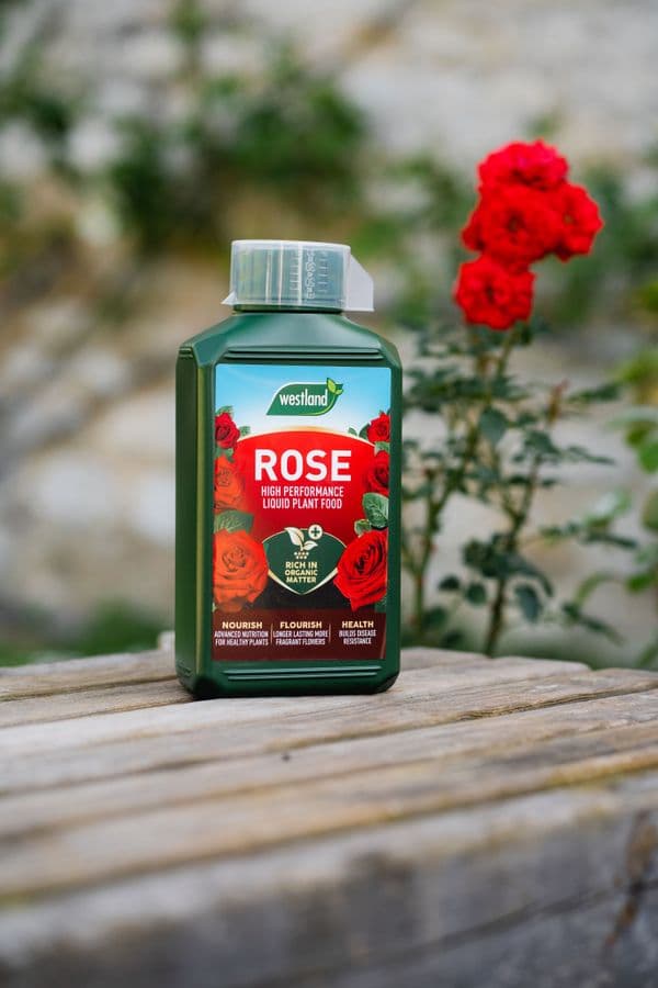 Westland Rose High Performance Liquid Plant Food