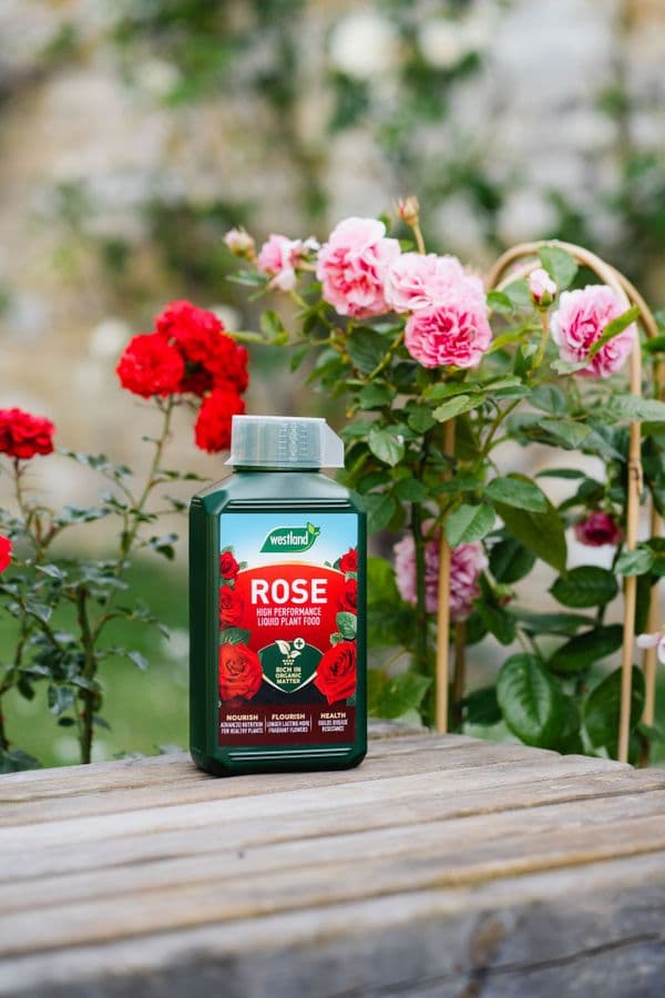 Westland Rose High Performance Liquid Plant Food
