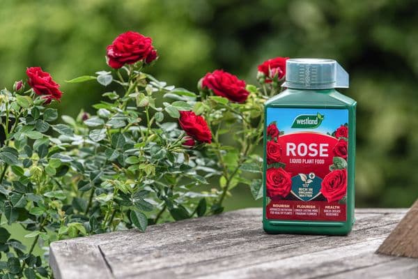 Westland Rose High Performance Liquid Plant Food