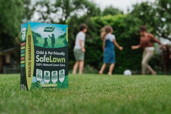 Westland Safe Lawns Natural Grass Feed 80msq Box