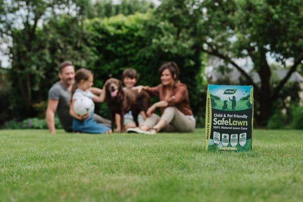 Westland Safe Lawns Natural Grass Feed 80msq Box