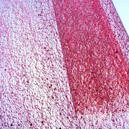 Red Glitter Spider Netting Fabric 12 inch Eurotulle