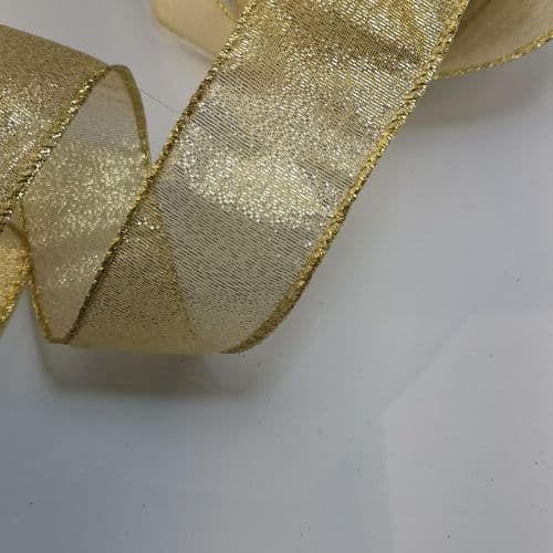 Wired Brass Gold 38 mm Eurotulle