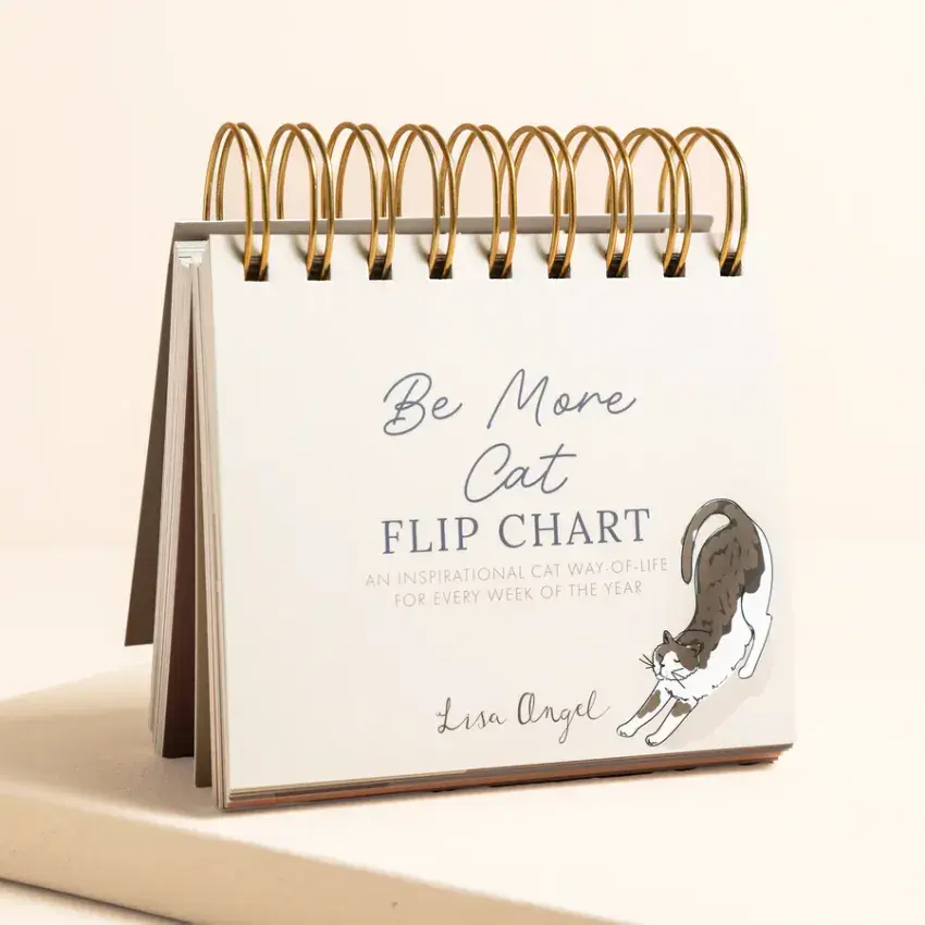 BE MORE CAT DESKTOP FLIP CHART