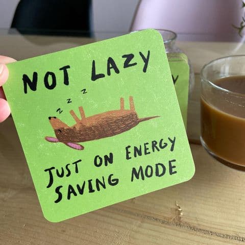 NOT LAZY COASTER
