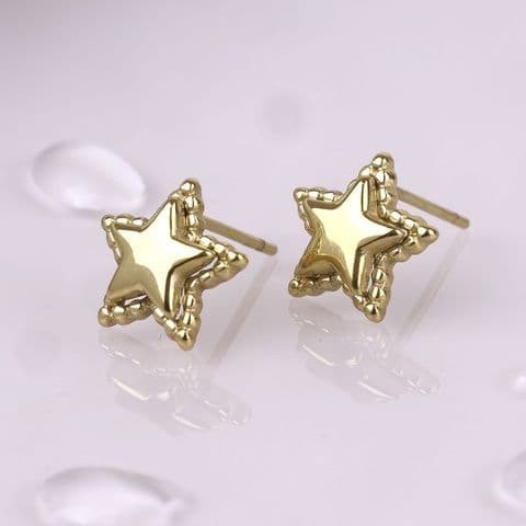 STAINLESS STEEL GOLD PLATE STAR BORDER STUD EARRINGS