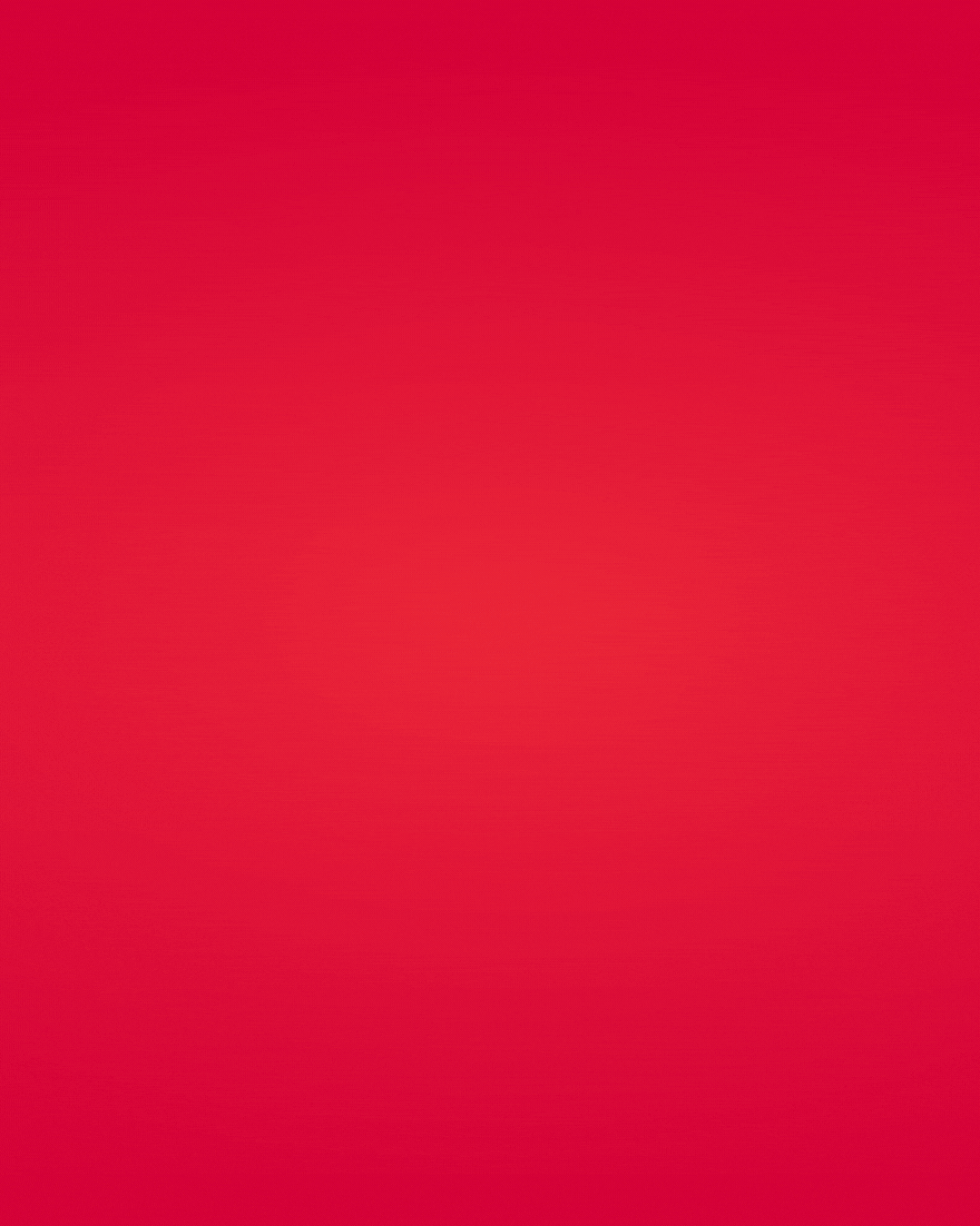 PERFECT CHRISTMAS GIFT IDEAS