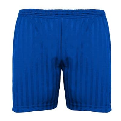 Settle Primary Shorts - Royal