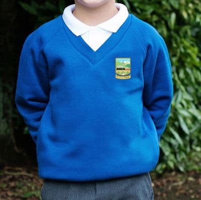 Settle Primary V-Neck Sweatshirt