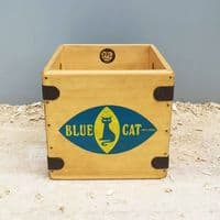 Blue Cat 7
