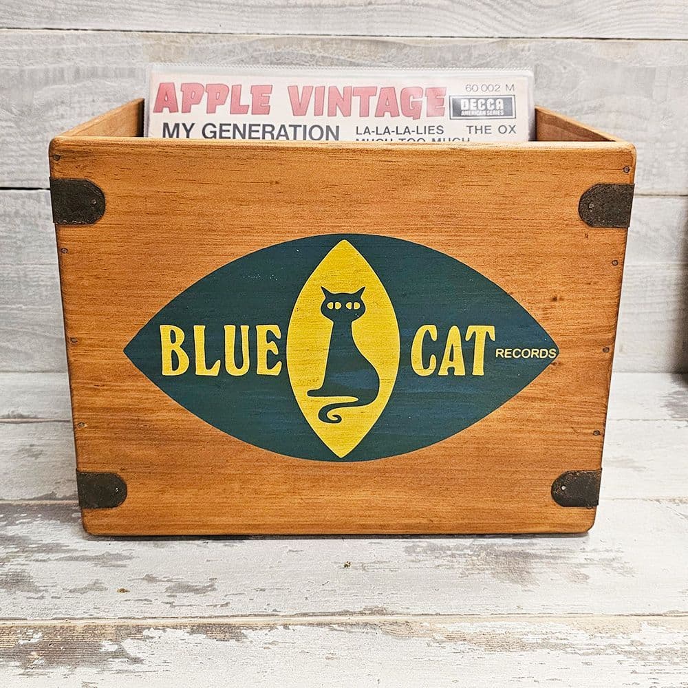Blue Cat Record Box Vinyl Album Storage Crates