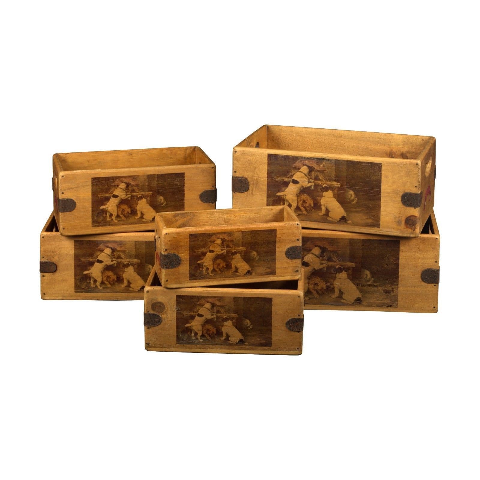 Jack Russel Terrier Box Vintage Wooden Dog Crate